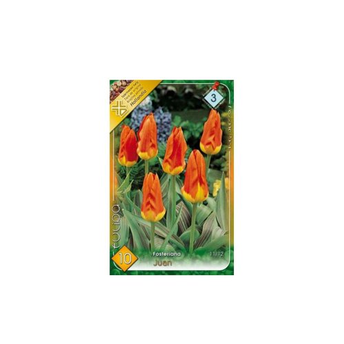 Tulipán juan 7ks - Umelé kvety