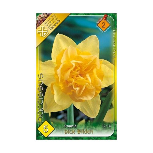 Narcis dick wilden 5ks - Umelé kvety