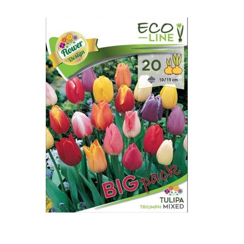 Tulipa big pack triumph mix 20ks - Umelé kvety