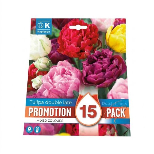 Tulipán double mix colours 15ks