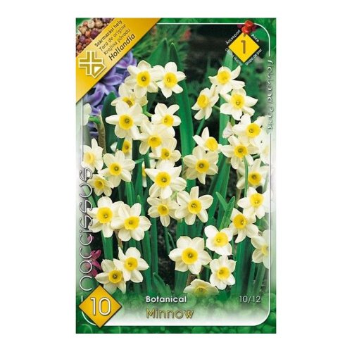 Narcis minnow 10ks