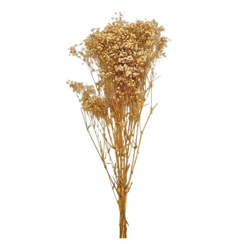 Gypsophila natur preparovaná/zv - Umelé kvety