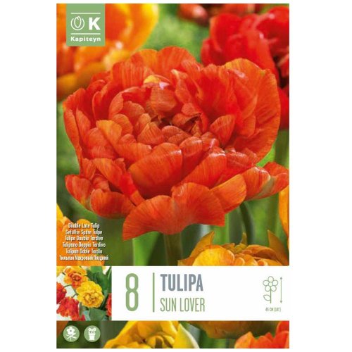 Tulipán sun lover 8ks - Umelé kvety