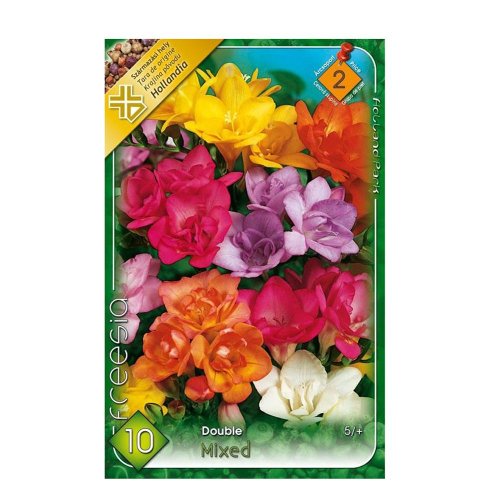 Freesia double mix 10ks