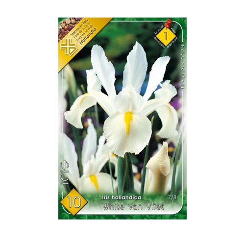 Iris white van vliet 10ks