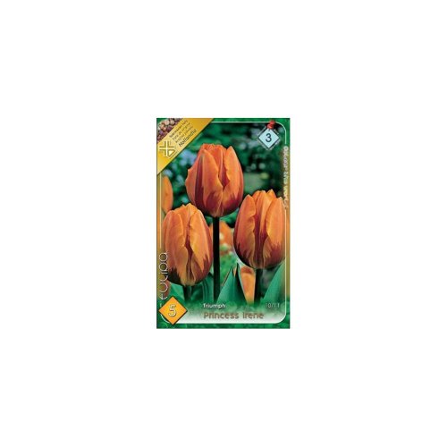 Tulipán princess irene 5ks - Veľkonočné ozdoby