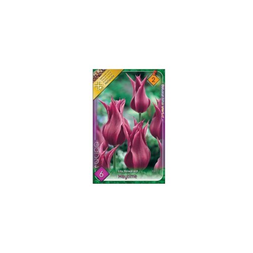 Tulipán maytime 6ks - Veľkonočné ozdoby