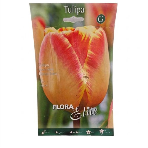 Tulipán banja luka 10ks