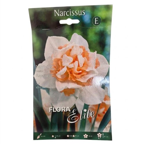Narcis replete 5ks - Vianočné dekorácie a ozdoby