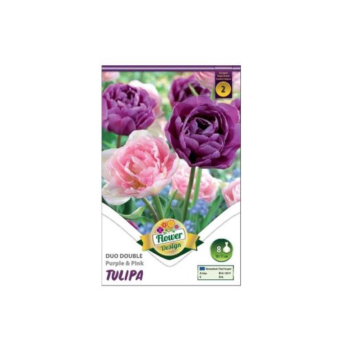 Tulipán duo double pink&purple 6ks - Umelé kvety