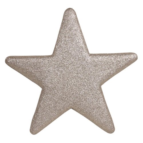 Hviezda šampáň 25cm - Aranžérsky materiál