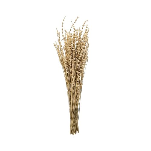 Levandula bielená /zv - Umelé kvety