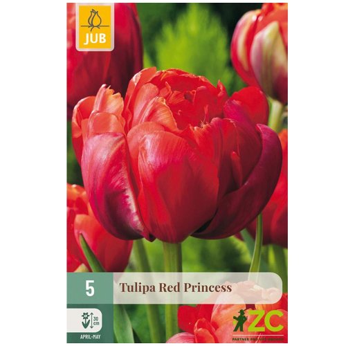 Tulipán red princess 5ks pevná cena - Umelé kvety