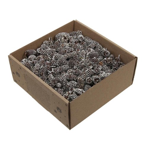 Birch pine/šiška bielená 250 g. - Umelé kvety