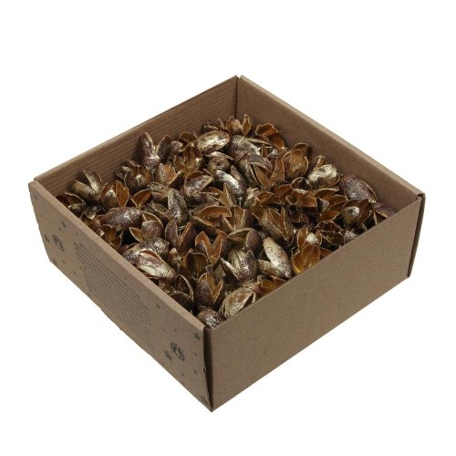 Bakuli zlaté suš 400g - Umelé kvety