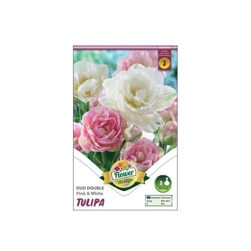 Tulipán duo double pink&white 6ks - Umelé kvety