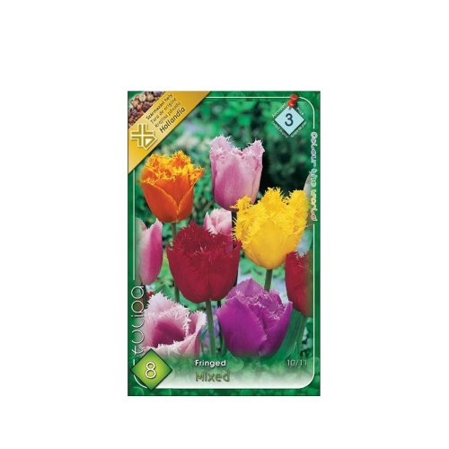 Tulipán crispa/fringed mix 8ks - Veľkonočné ozdoby