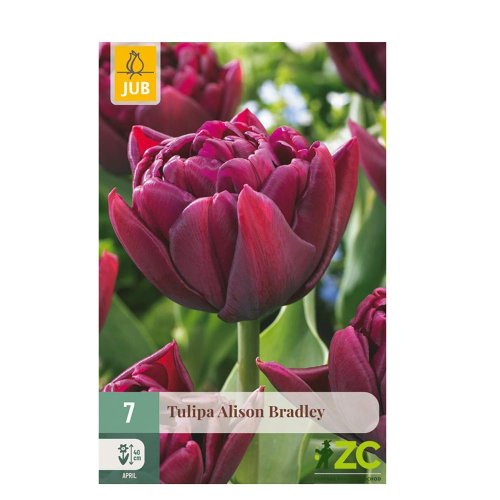 Tulipán alison bradley 7ks pevná cena - Umelé kvety