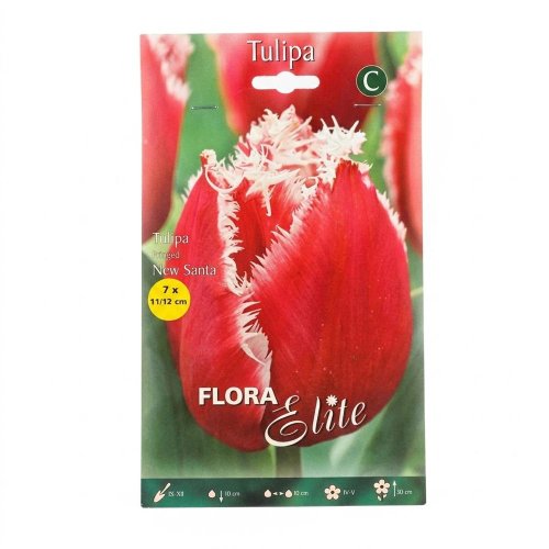 Tulipán new santa 7ks - Vianočné dekorácie a ozdoby