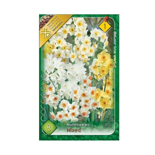 Narcis multiflower mix 8ks