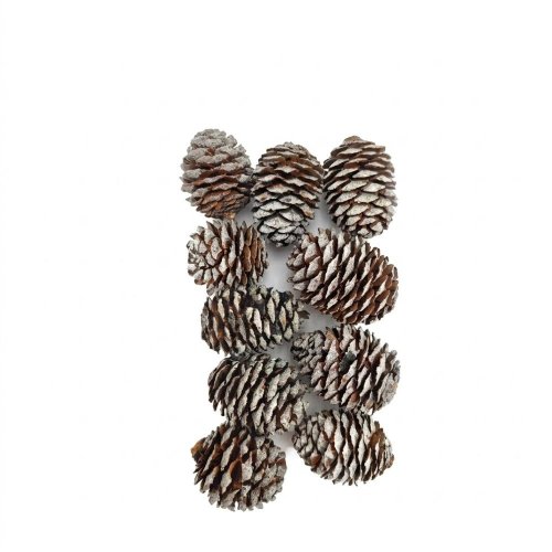 Exotic mix murri heads 85gr nature 10x4x21cm