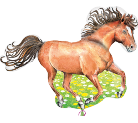 Balón Kôň na lúke