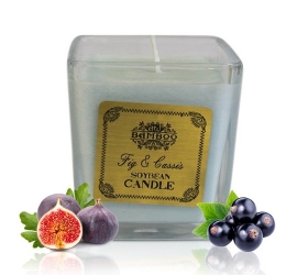 Sójové Sviečky - Figa & Čierna Ríbezľa
