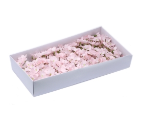 Mydlové kvety, kvet Hyacint - ružová