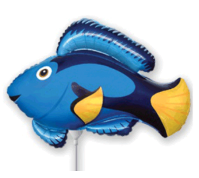 Balónik Ryba modrá