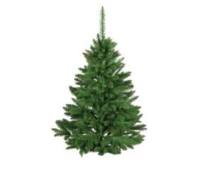Vianočný stromček Dagmara 150cm