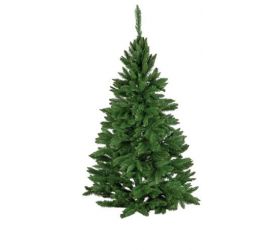 Vianočný stromček Dagmara 180cm