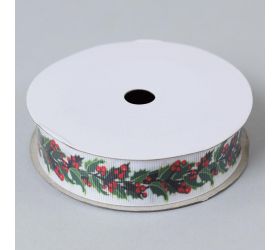 Stuha vian.plody 9mx25mm
