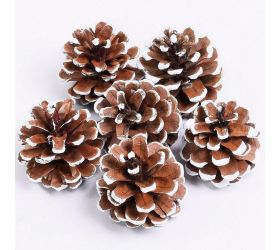 šišky zasnežené s/6 5cm