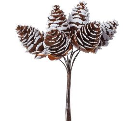 Zapich. šišky natur. s/6