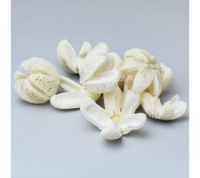 I460w wild orange bielené s/10