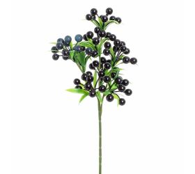 Zápich bobule čierne