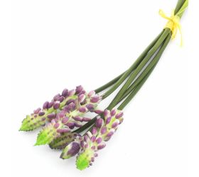 24flk01-0167 kytica muscari viaz.5ks/24cm gum