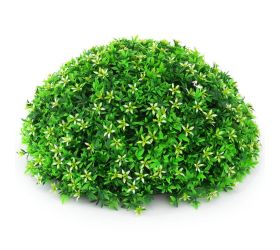 24flk02-0166 krušpán polguľa priemer 35cm