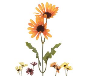 25020344 ks margarétka 5 f 35cm