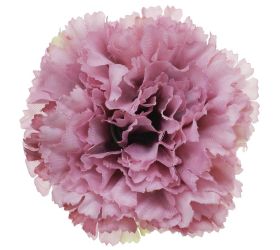 Hlava karafiát pu5777 7cm