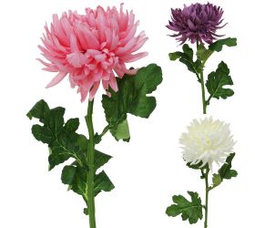 Ks chrysantema 3f mix a 65cm