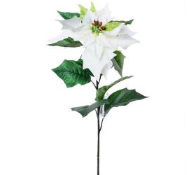 Ks poinsettia 72cm cr-01 biela