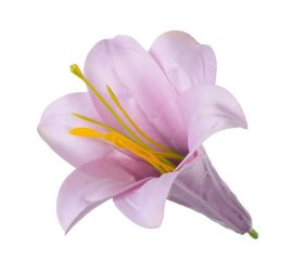 Hlava ľalia 11cm bal:12ks