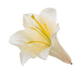 Hlava ľalia yl27125/3 11cm