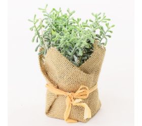 Zeleň v črepníku juta 15cm