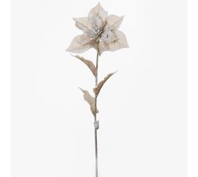 Ks poinsetia staroruž. 65cm