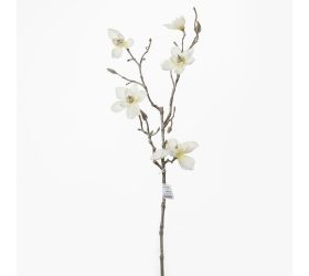 Ks magnolia spray.65cm .krem