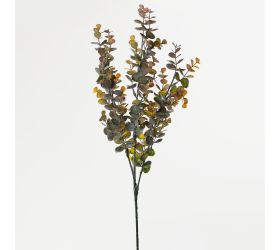 Ks eucalyptus oranžový 70cm