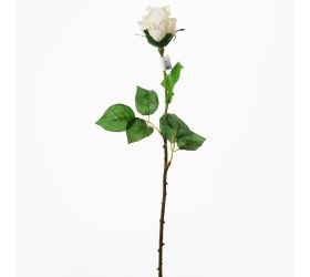 Ks ruža 54cm smot.