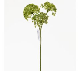 Ks sedum zelené 35cm